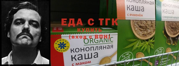 спиды Алексеевка