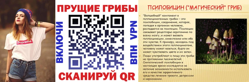 Псилоцибиновые грибы MAGIC MUSHROOMS  OMG ссылка  Мураши  где купить  